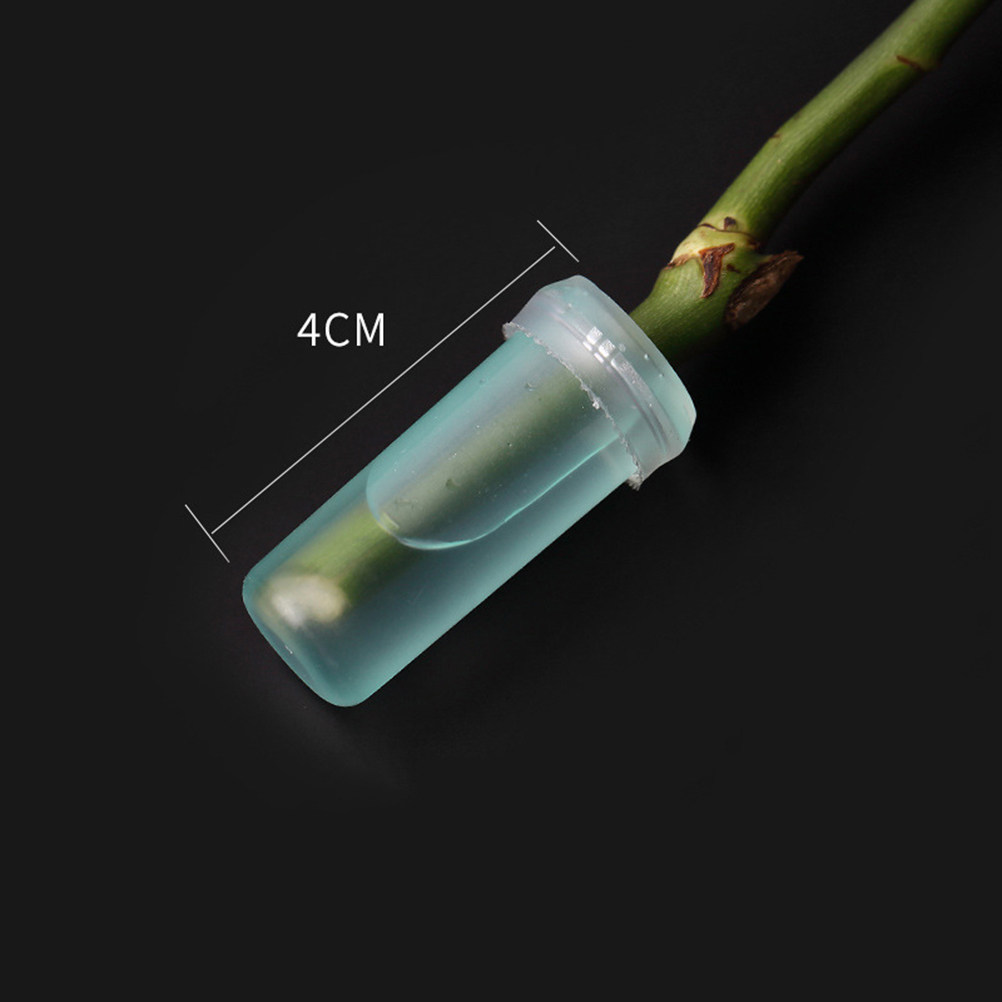 Florist Supply Shop - 20Pcs Floral Water Tubes Fresh Flower