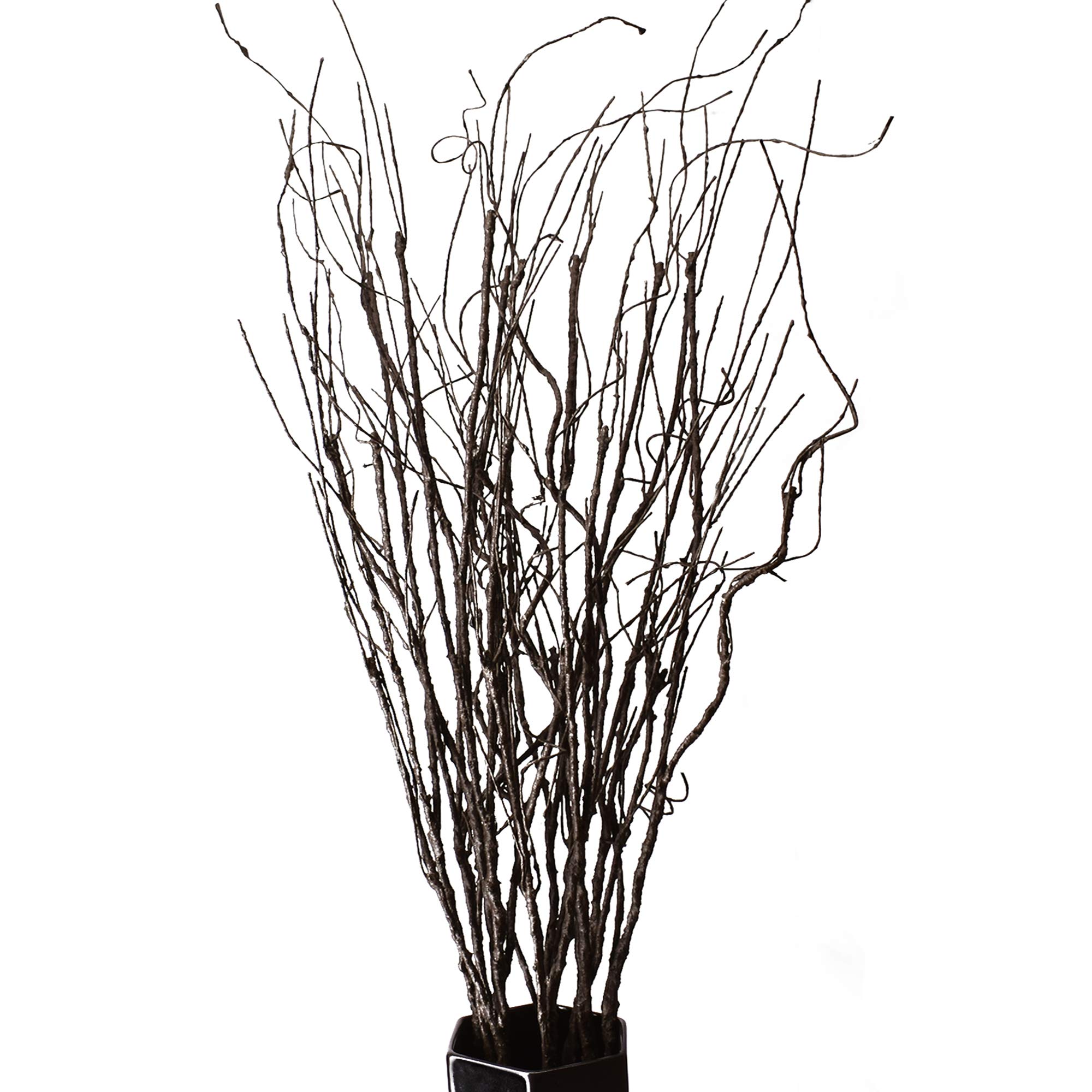 Branch Curly Willow - FeiLix 10PCS Dried Artificial Branches，Bendable Fake